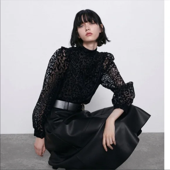 Zara NWT organza blouse - Picture 6 of 10